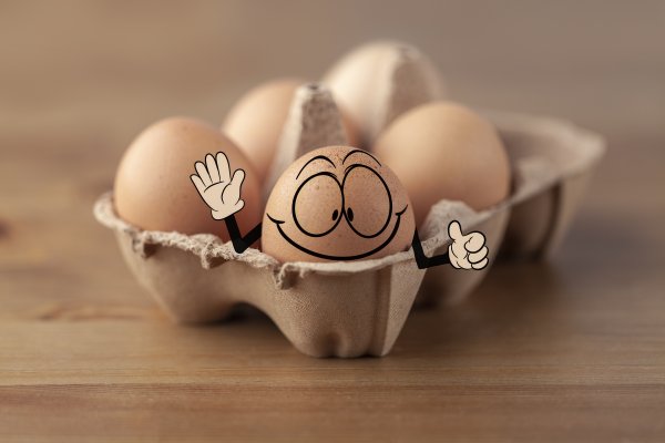 易融资 别囤，鸡蛋的保质期原来只有15天...